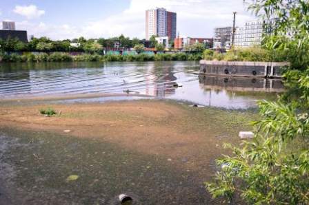 An urban waterway, tall buildings in the distance are reflected in ripples on the water. In the water there is brown mud, coated with green algae and some items of plastic rubbish are submerged.