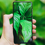 a image of someone holding a phone with a leaf background