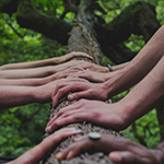 A photo of hands on a log