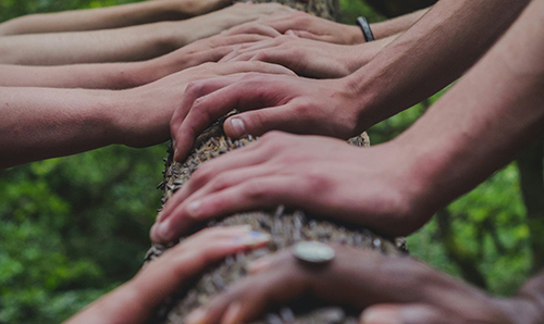 A photo of hands on a log