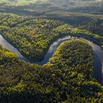 An aerial view of the Brazilian Amazon