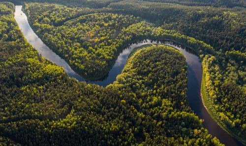 Brazilian Amazon