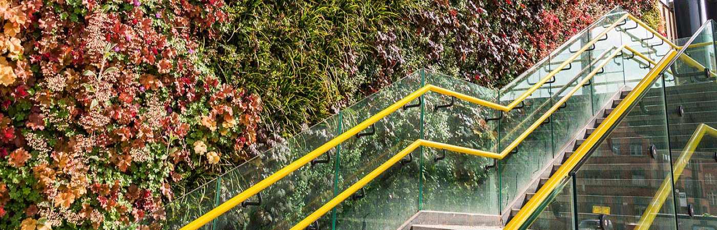 Green, flowery wall and steps