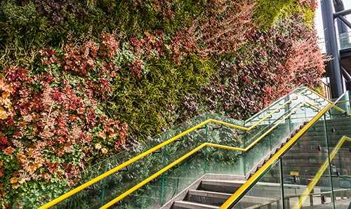 Green, flowery wall and steps